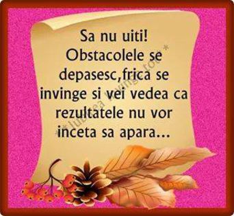 10592721_1455376978074733_9052135542437353498_n