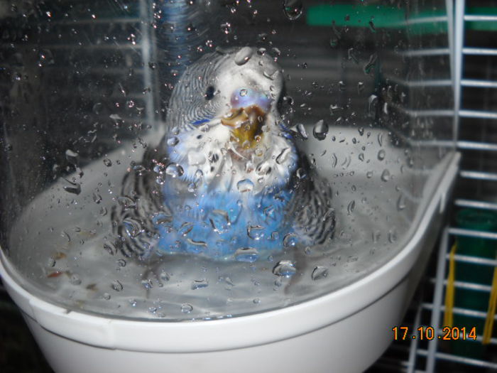 prima baita - Perusi   PUI PROASPETI