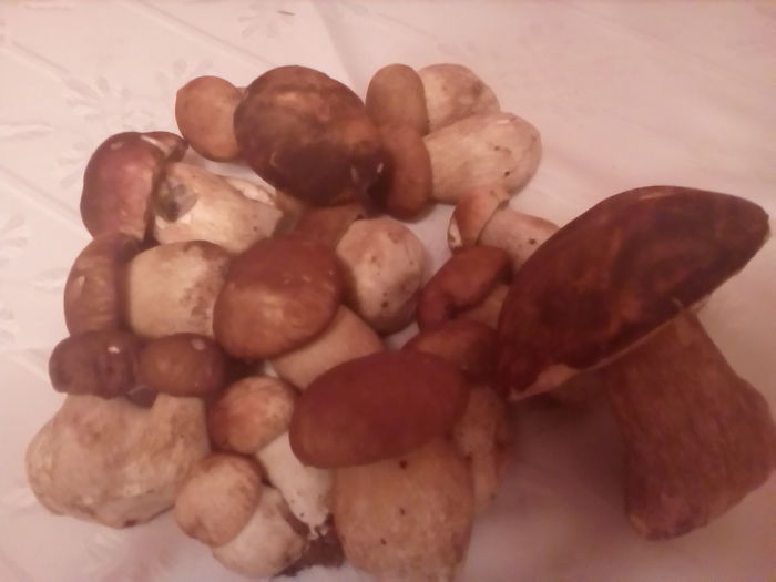 P_20141019_191111 - solona 2014