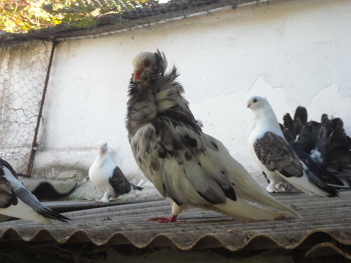DSCN1304