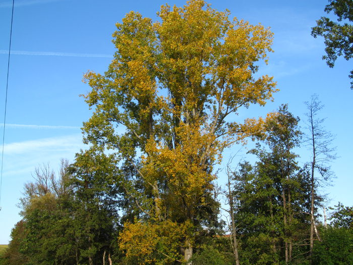  - Diverse 1 - Plimbari