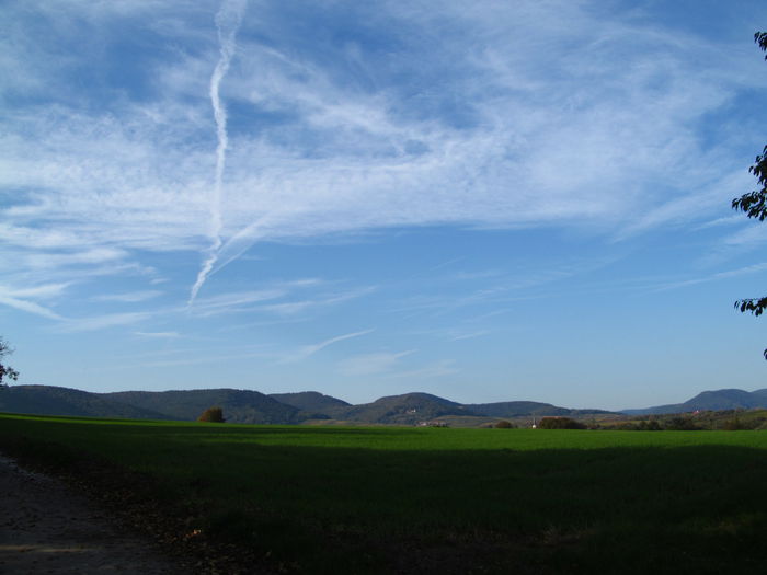  - Diverse 1 - Plimbari