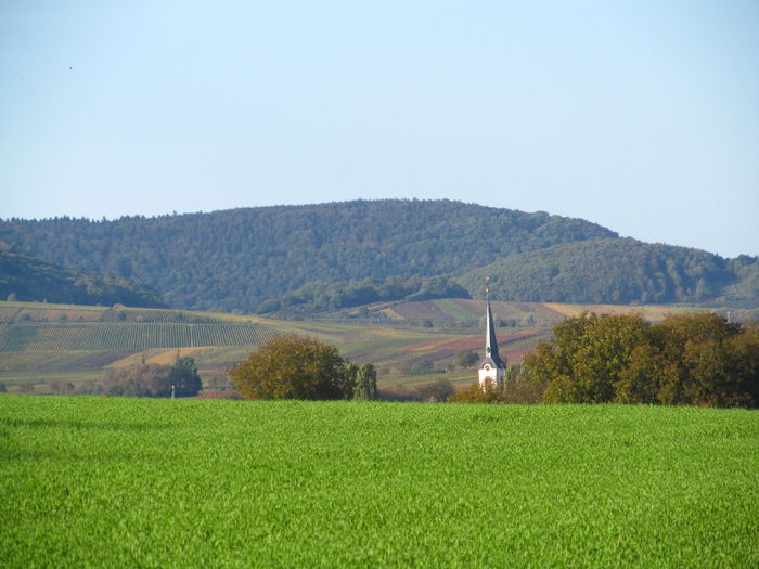  - Diverse 1 - Plimbari