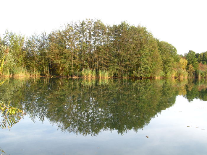  - Diverse 1 - Plimbari