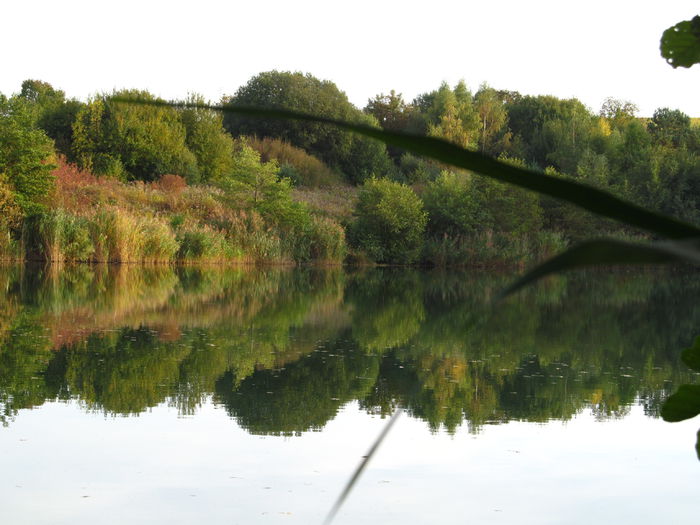  - Diverse 1 - Plimbari