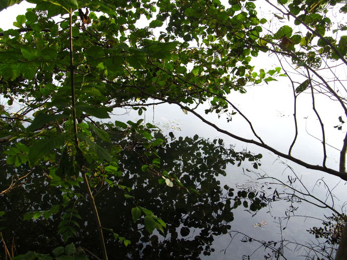 oglindire - Diverse 1 - Plimbari