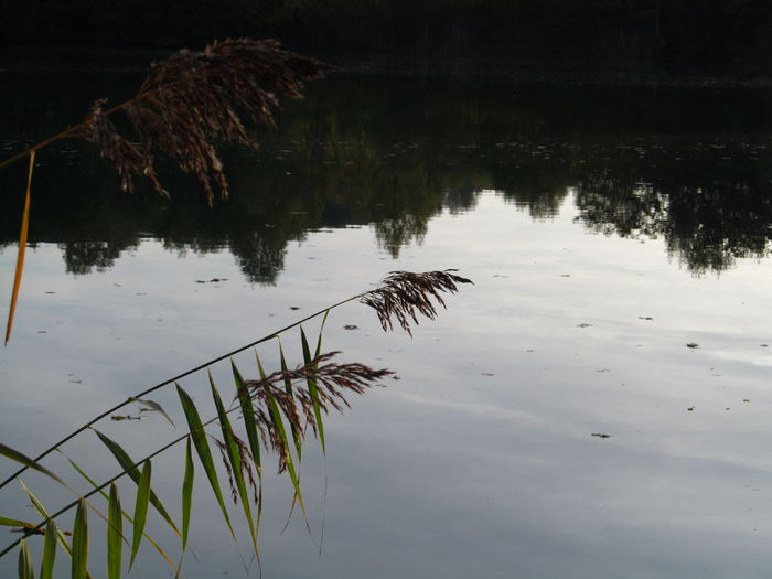  - Diverse 1 - Plimbari