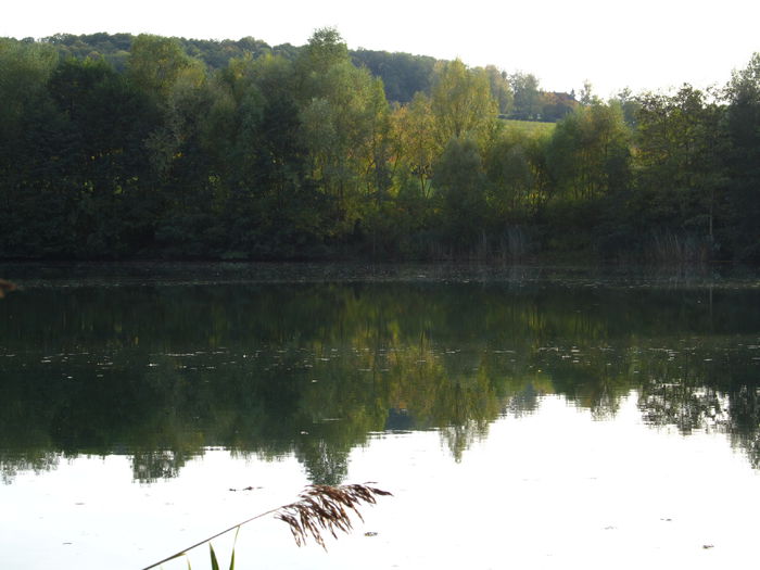  - Diverse 1 - Plimbari