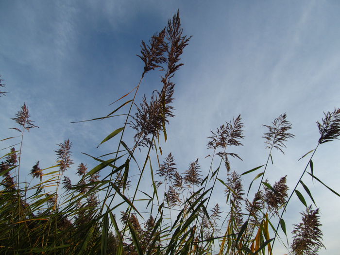  - Diverse 1 - Plimbari