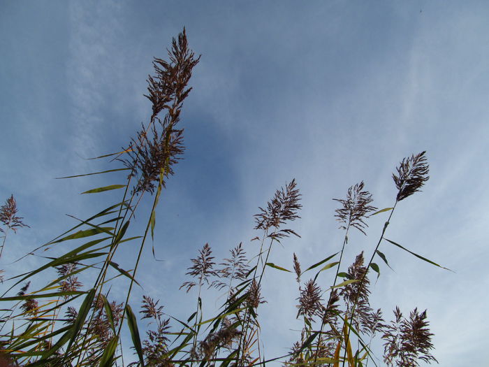  - Diverse 1 - Plimbari