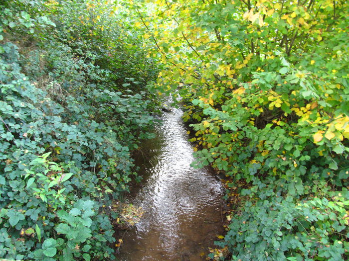  - Diverse 1 - Plimbari