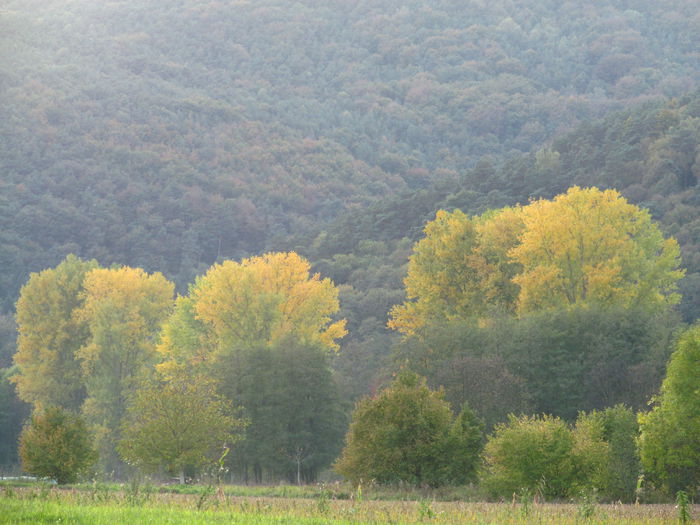  - Diverse 1 - Plimbari