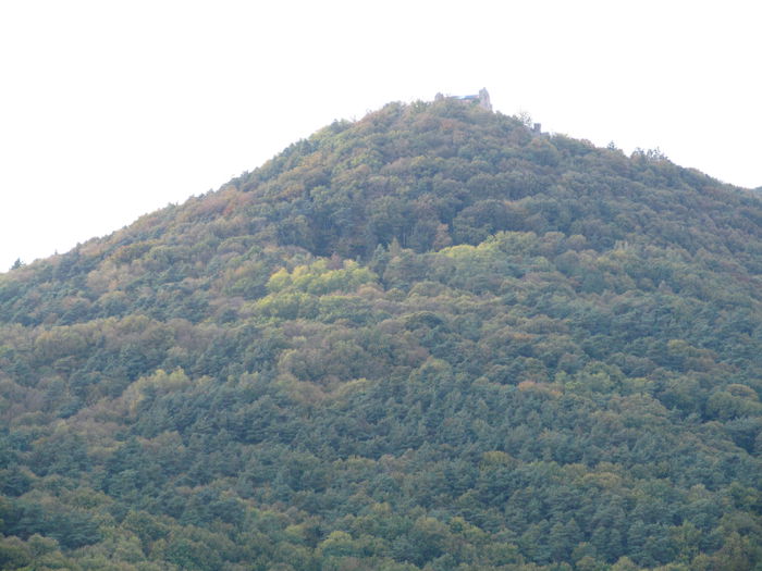  - Diverse 1 - Plimbari