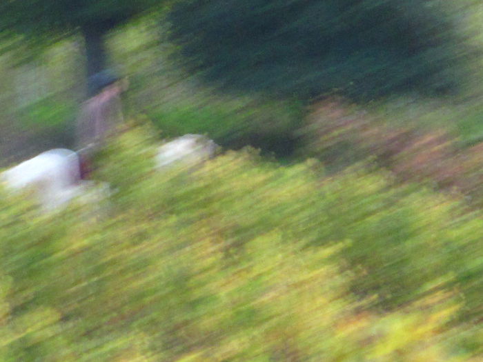  - Diverse 1 - Plimbari