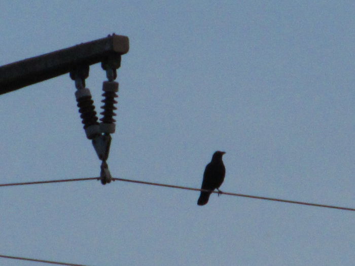  - Diverse 1 - Plimbari