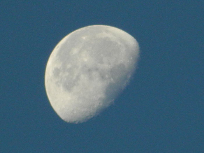DSCN1443