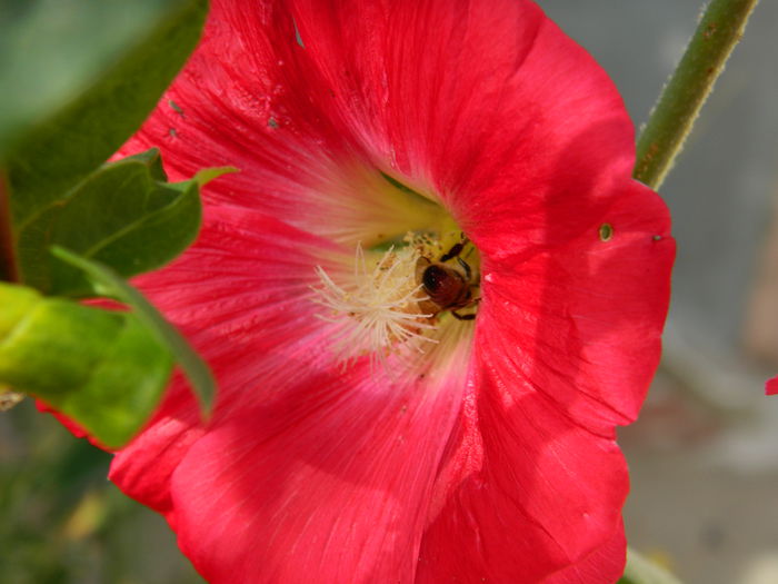 DSCN1467
