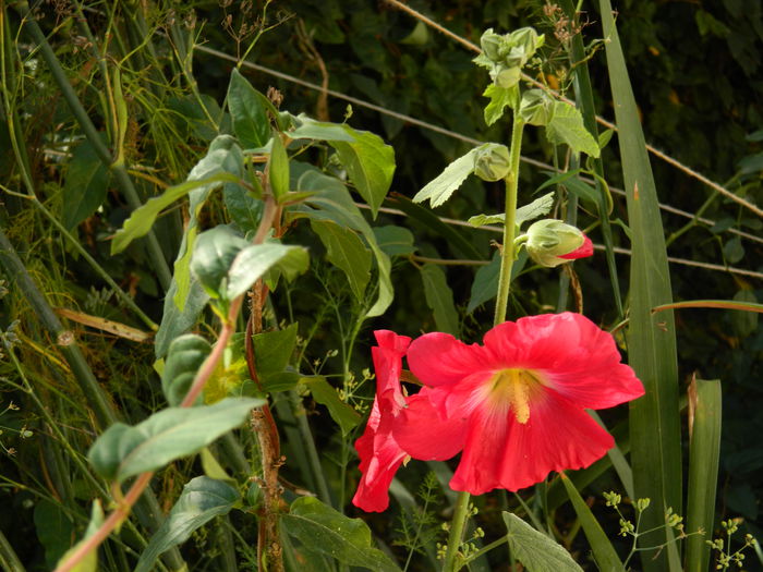 DSCN1476