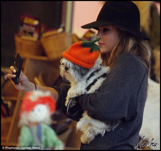 △▼ ❥ : Okay, deci, 1) în niciun caz și 2) mă mai gândesc :)) - Epii 16 _ Halloween - Trick or Treat