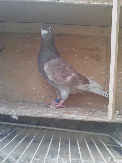 IMG_20141019_113427_238