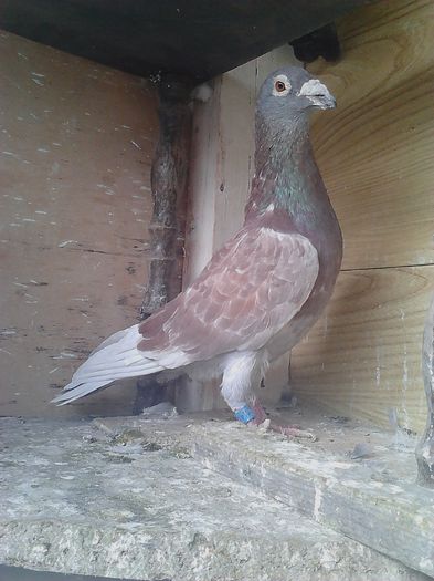 IMG_20141019_113512_039