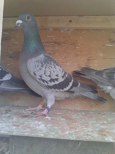 IMG_20141019_113632_672