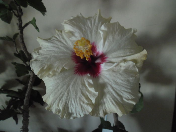 053