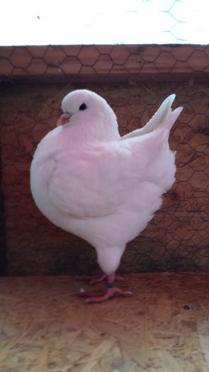 20141022_120107 - pui 2014