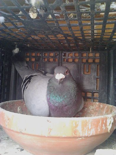 IMG_20140913_131259_220