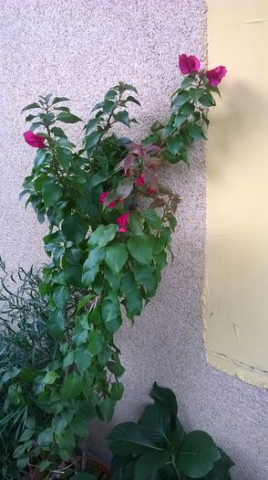 WP_20141022_11_49_13_Pro