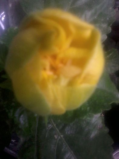 20141020_080307