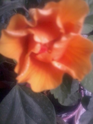 20141020_080337
