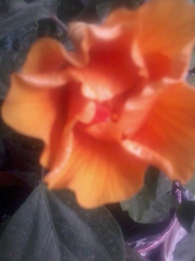 20141020_080341