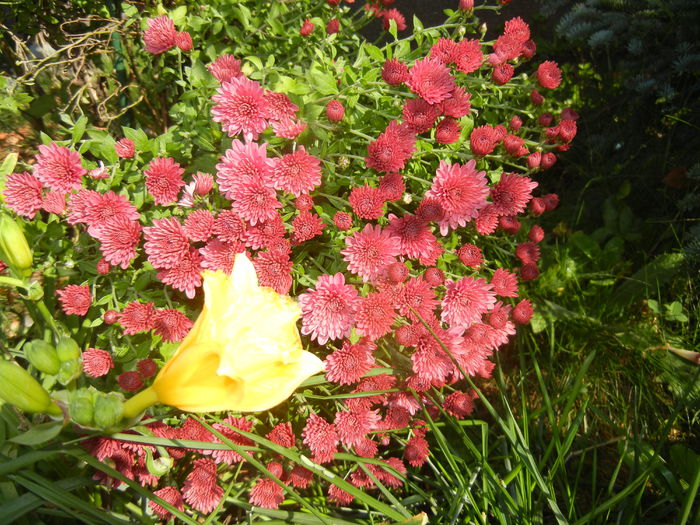 Autumn Colors (2014, October 09)