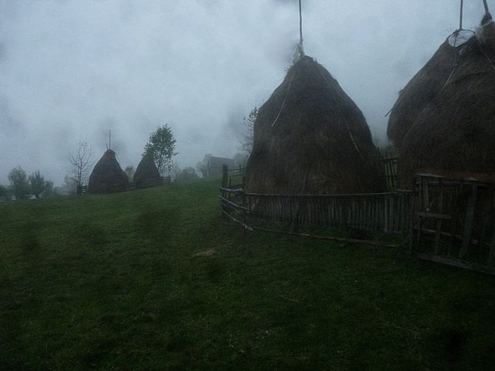 timp de ploaie - Gospodaria