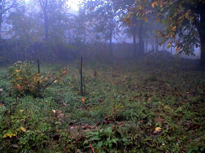 Prin ceata si ploaie.. (35)