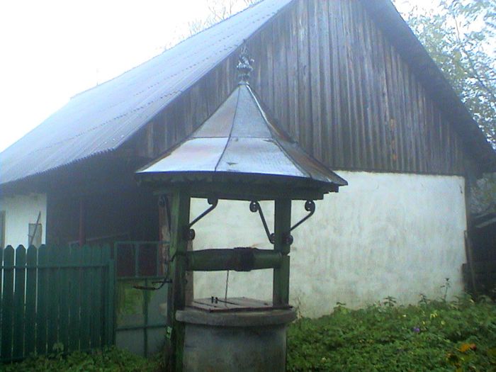 Prin ceata si ploaie.. (37)