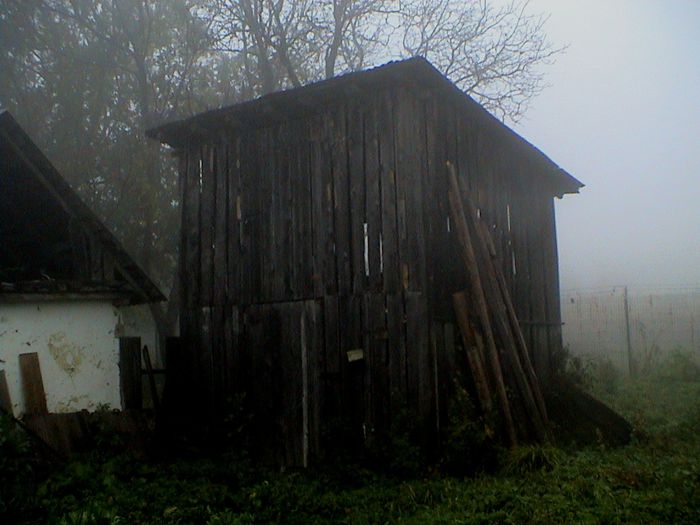 Prin ceata si ploaie.. (44)