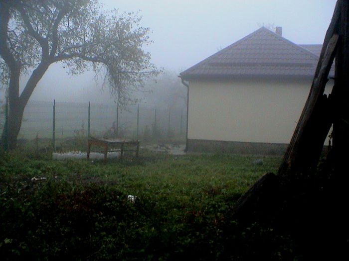 Prin ceata si ploaie.. (54)