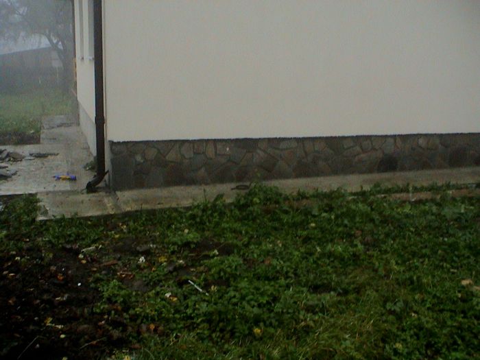 Prin ceata si ploaie.. (57)