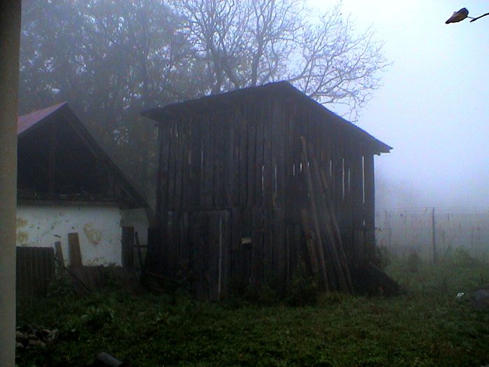 Prin ceata si ploaie.. (60)