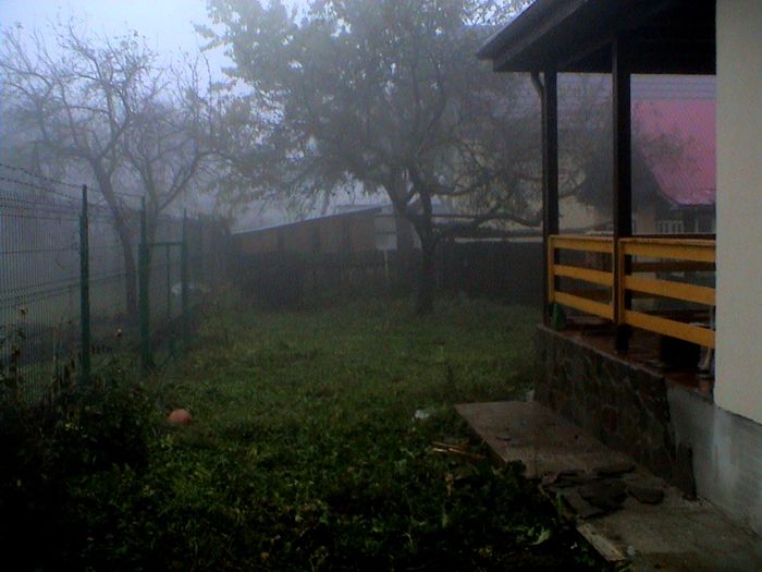Prin ceata si ploaie.. (61)