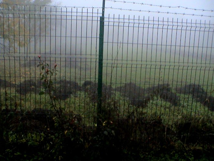 Prin ceata si ploaie.. (63)