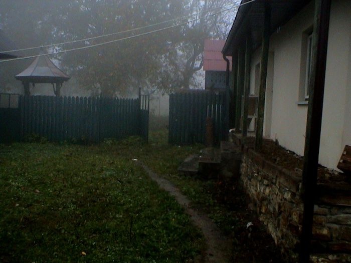 Prin ceata si ploaie.. (70)