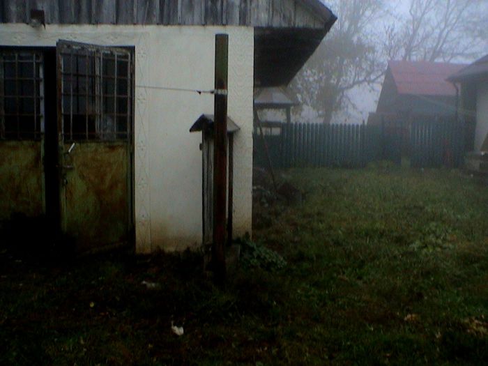 Prin ceata si ploaie.. (73)