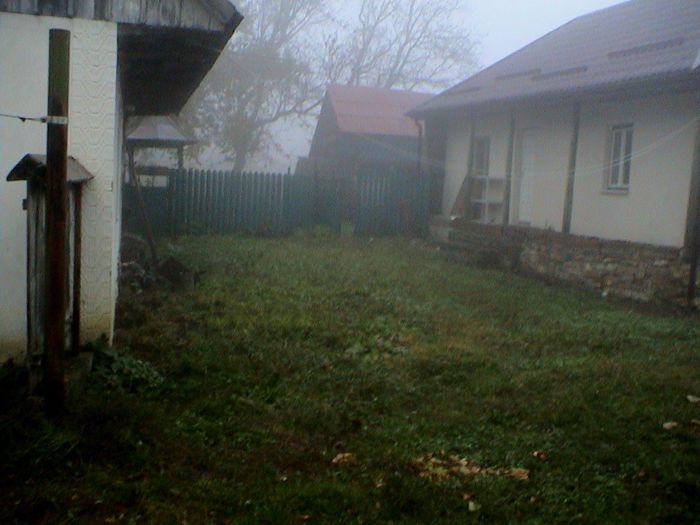 Prin ceata si ploaie.. (74)