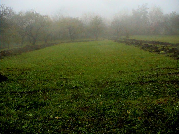 Prin ceata si ploaie.. (76)