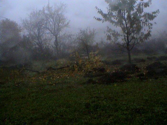 Prin ceata si ploaie.. (86)
