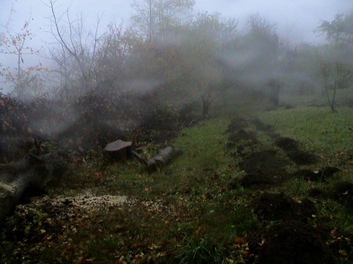 Prin ceata si ploaie.. (89)