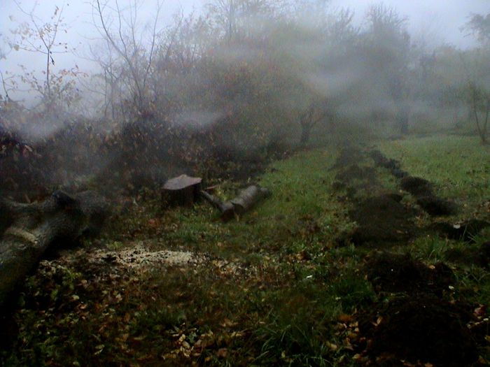 Prin ceata si ploaie.. (90)
